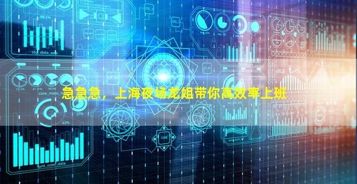 急急急，上海夜场龙姐带你高效率上班